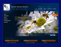 Systemic Software - Technology and Knowledge ‘Superstore’